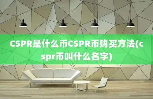 CSPR是什么币CSPR币购买方法(cspr币叫什么名字)