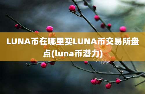 LUNA币在哪里买LUNA币交易所盘点(luna币潜力)