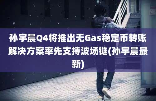 孙宇晨Q4将推出无Gas稳定币转账解决方案率先支持波场链(孙宇晨最新)