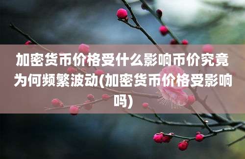 加密货币价格受什么影响币价究竟为何频繁波动(加密货币价格受影响吗)