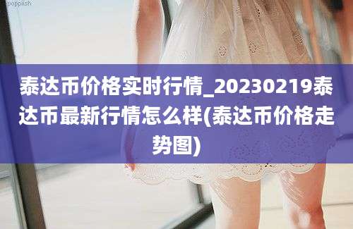 泰达币价格实时行情_20230219泰达币最新行情怎么样(泰达币价格走势图)