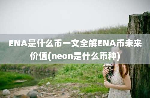 ENA是什么币一文全解ENA币未来价值(neon是什么币种)