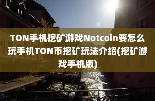 TON手机挖矿游戏Notcoin要怎么玩手机TON币挖矿玩法介绍(挖矿游戏手机版)