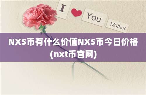 NXS币有什么价值NXS币今日价格(nxt币官网)