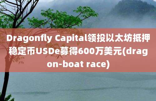 Dragonfly Capital领投以太坊抵押稳定币USDe募得600万美元(dragon-boat race)