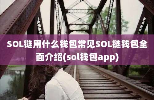 SOL链用什么钱包常见SOL链钱包全面介绍(sol钱包app)