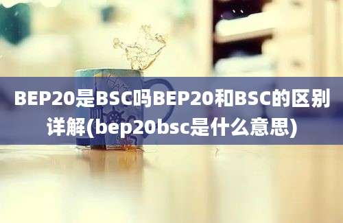 BEP20是BSC吗BEP20和BSC的区别详解(bep20bsc是什么意思)