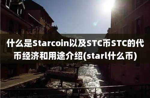 什么是Starcoin以及STC币STC的代币经济和用途介绍(starl什么币)