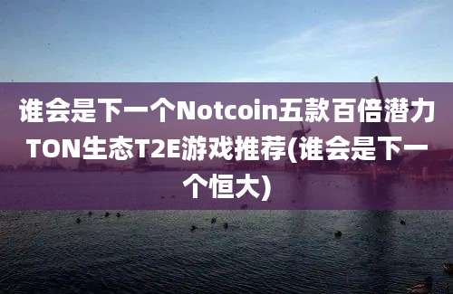 谁会是下一个Notcoin五款百倍潜力TON生态T2E游戏推荐(谁会是下一个恒大)