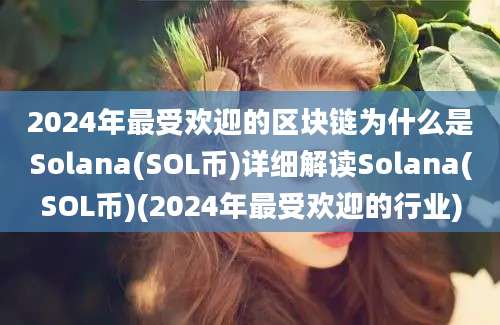 2024年最受欢迎的区块链为什么是Solana(SOL币)详细解读Solana(SOL币)(2024年最受欢迎的行业)