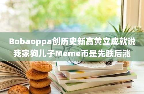 Bobaoppa创历史新高黄立成就说我家狗儿子Meme币是先跌后涨