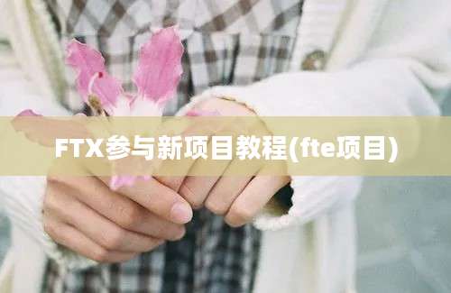 FTX参与新项目教程(fte项目)