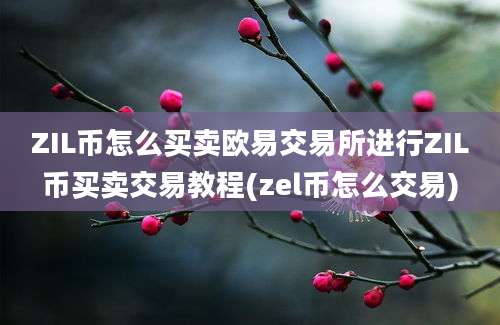 ZIL币怎么买卖欧易交易所进行ZIL币买卖交易教程(zel币怎么交易)