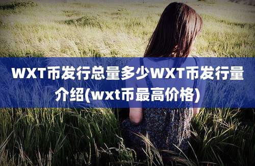 WXT币发行总量多少WXT币发行量介绍(wxt币最高价格)