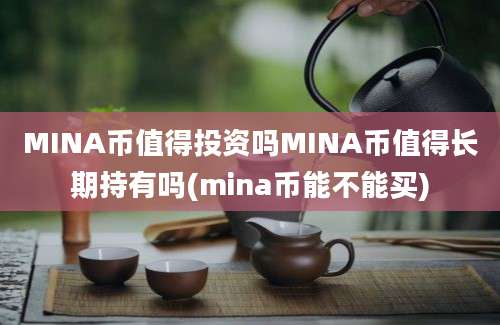 MINA币值得投资吗MINA币值得长期持有吗(mina币能不能买)