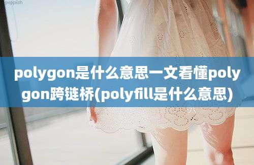 polygon是什么意思一文看懂polygon跨链桥(polyfill是什么意思)