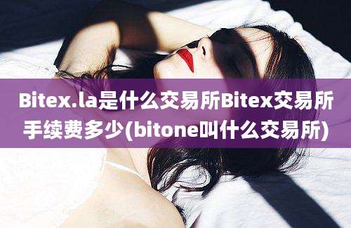 Bitex.la是什么交易所Bitex交易所手续费多少(bitone叫什么交易所)