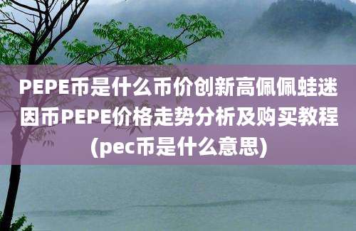 PEPE币是什么币价创新高佩佩蛙迷因币PEPE价格走势分析及购买教程(pec币是什么意思)