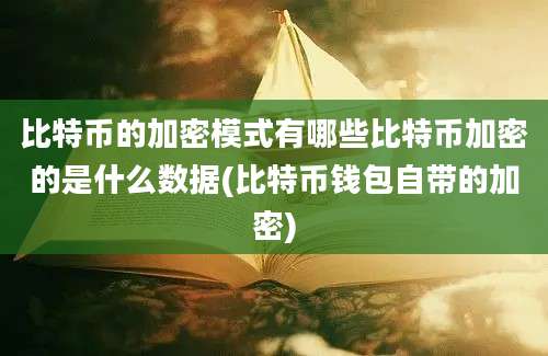 比特币的加密模式有哪些比特币加密的是什么数据(比特币钱包自带的加密)