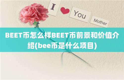 BEET币怎么样BEET币前景和价值介绍(bee币是什么项目)