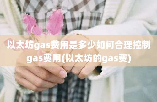 以太坊gas费用是多少如何合理控制gas费用(以太坊的gas费)