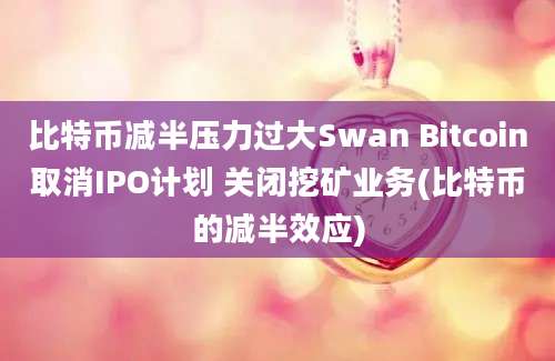 比特币减半压力过大Swan Bitcoin取消IPO计划 关闭挖矿业务(比特币的减半效应)