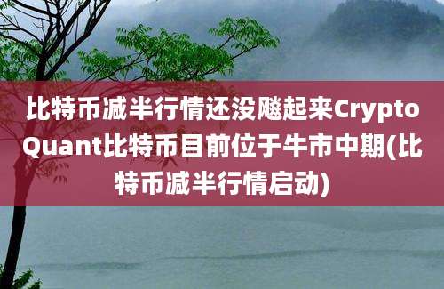 比特币减半行情还没飚起来CryptoQuant比特币目前位于牛市中期(比特币减半行情启动)