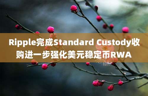 Ripple完成Standard Custody收购进一步强化美元稳定币RWA