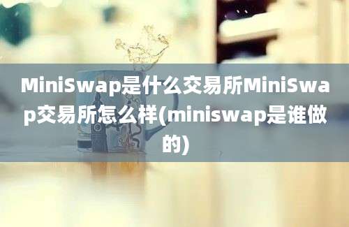 MiniSwap是什么交易所MiniSwap交易所怎么样(miniswap是谁做的)