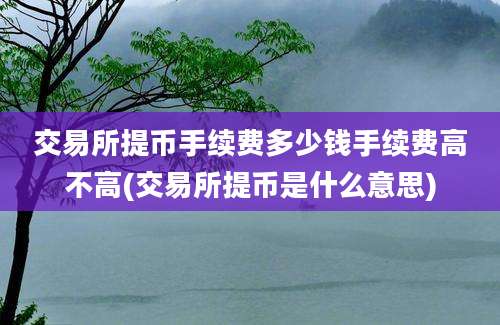 交易所提币手续费多少钱手续费高不高(交易所提币是什么意思)