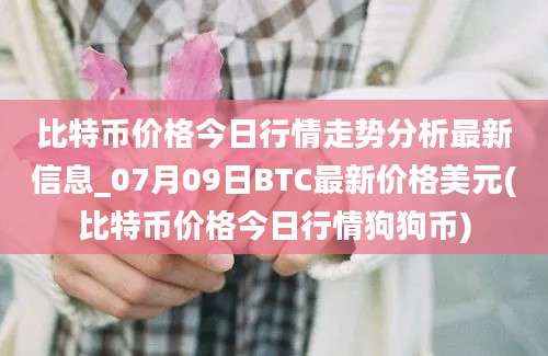 比特币价格今日行情走势分析最新信息_07月09日BTC最新价格美元(比特币价格今日行情狗狗币)