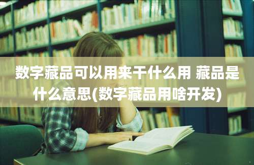 数字藏品可以用来干什么用 藏品是什么意思(数字藏品用啥开发)