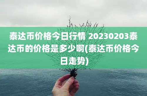 泰达币价格今日行情 20230203泰达币的价格是多少啊(泰达币价格今日走势)