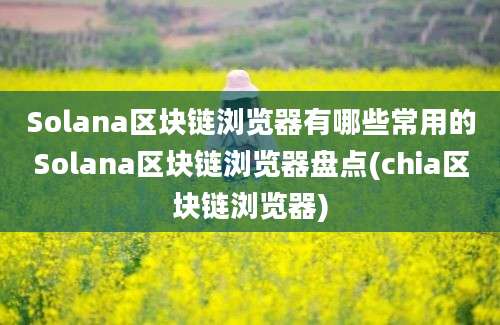 Solana区块链浏览器有哪些常用的Solana区块链浏览器盘点(chia区块链浏览器)