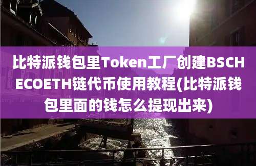 比特派钱包里Token工厂创建BSCHECOETH链代币使用教程(比特派钱包里面的钱怎么提现出来)