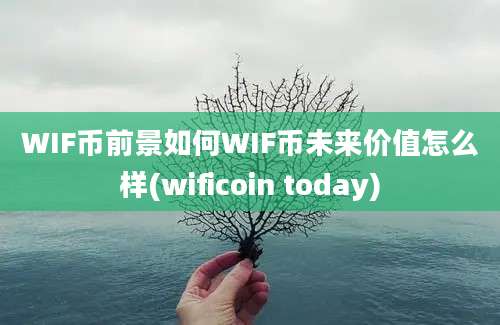 WIF币前景如何WIF币未来价值怎么样(wificoin today)