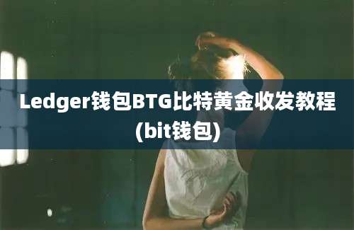 Ledger钱包BTG比特黄金收发教程(bit钱包)