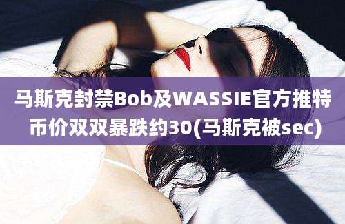 马斯克封禁Bob及WASSIE官方推特 币价双双暴跌约30(马斯克被sec)