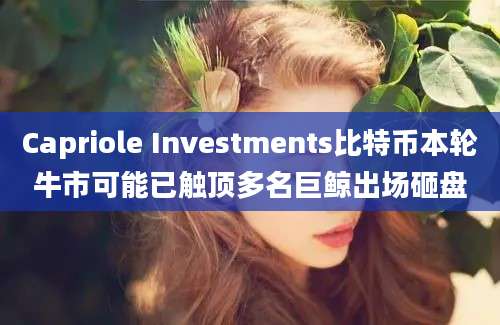 Capriole Investments比特币本轮牛市可能已触顶多名巨鲸出场砸盘