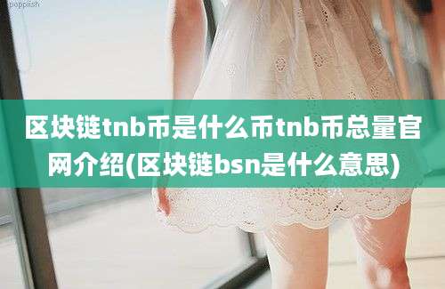 区块链tnb币是什么币tnb币总量官网介绍(区块链bsn是什么意思)