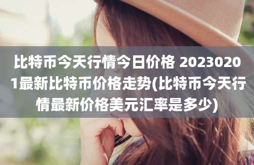 比特币今天行情今日价格 20230201最新比特币价格走势(比特币今天行情最新价格美元汇率是多少)