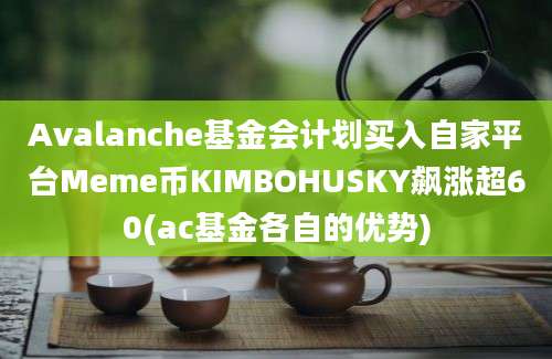 Avalanche基金会计划买入自家平台Meme币KIMBOHUSKY飙涨超60(ac基金各自的优势)