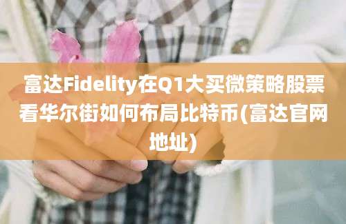 富达Fidelity在Q1大买微策略股票看华尔街如何布局比特币(富达官网地址)