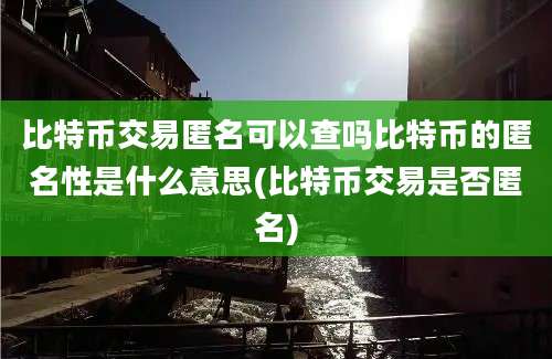 比特币交易匿名可以查吗比特币的匿名性是什么意思(比特币交易是否匿名)