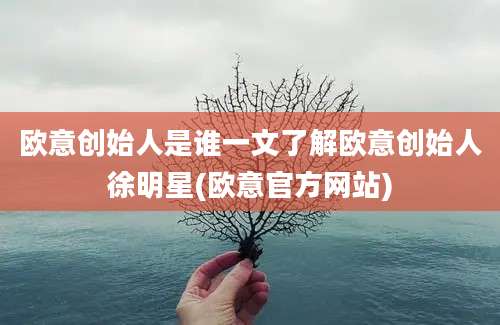 欧意创始人是谁一文了解欧意创始人徐明星(欧意官方网站)