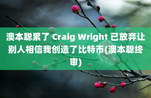 澳本聪累了 Craig Wright 已放弃让别人相信我创造了比特币(澳本聪终审)