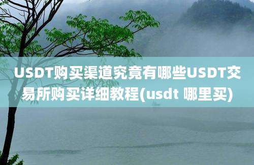 USDT购买渠道究竟有哪些USDT交易所购买详细教程(usdt 哪里买)