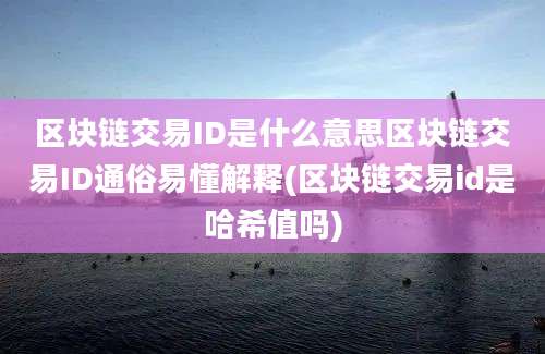 区块链交易ID是什么意思区块链交易ID通俗易懂解释(区块链交易id是哈希值吗)