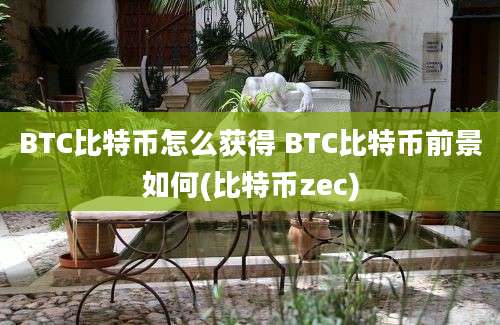 BTC比特币怎么获得 BTC比特币前景如何(比特币zec)