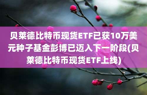 贝莱德比特币现货ETF已获10万美元种子基金彭博已迈入下一阶段(贝莱德比特币现货ETF上线)